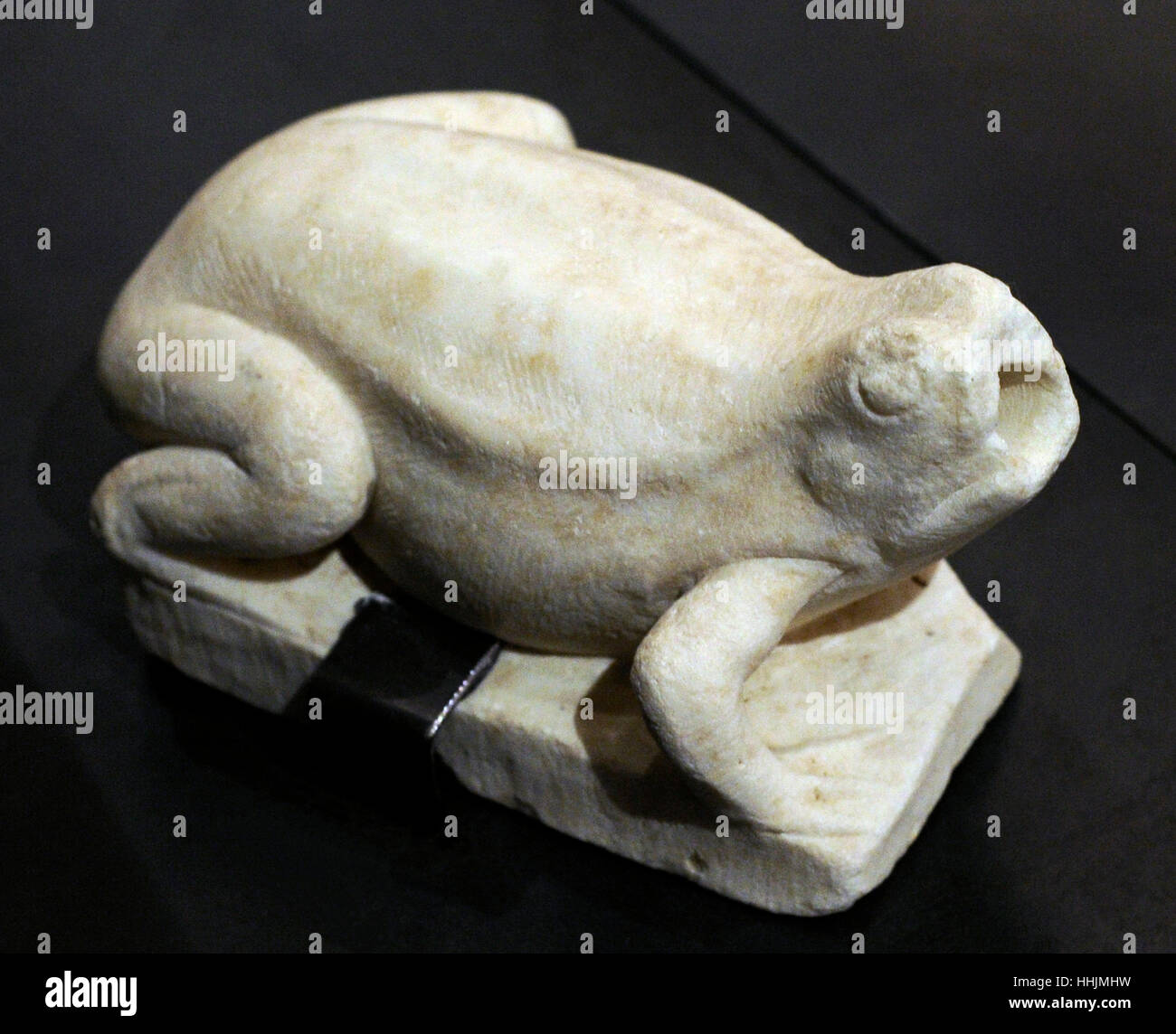Statue of a frog, served as a fountain spout. 1st century AD. Marble. From Pompeii. National Archaeological Museum. Naples. Italy. Stock Photo