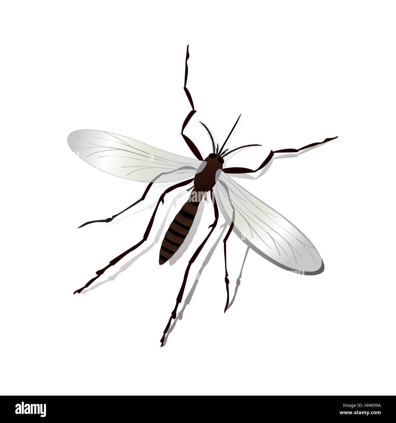 Short sting hi-res stock photography and images - Alamy