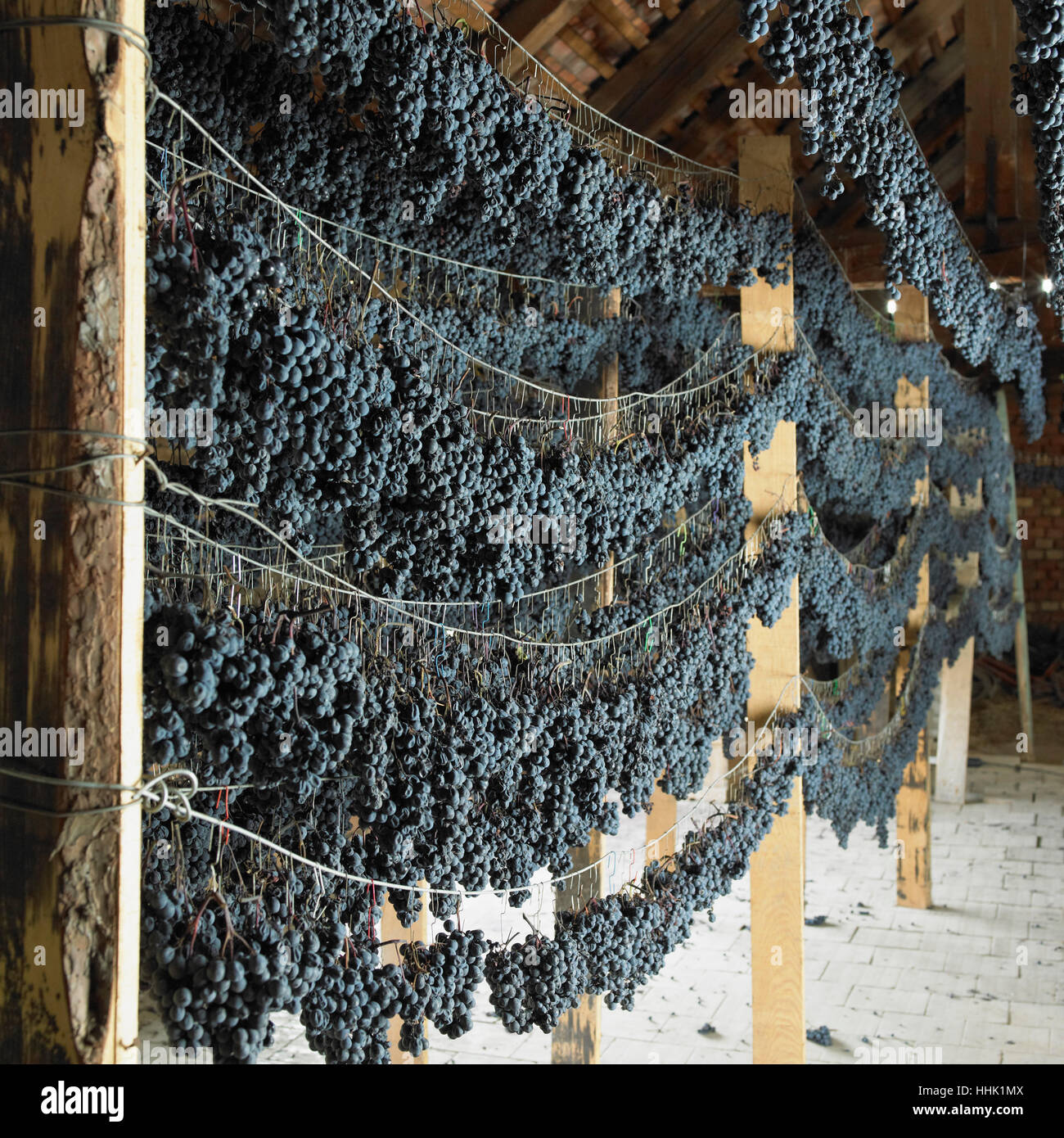 winery, grape, inside, interior, wine, grapes, production, dry, dried