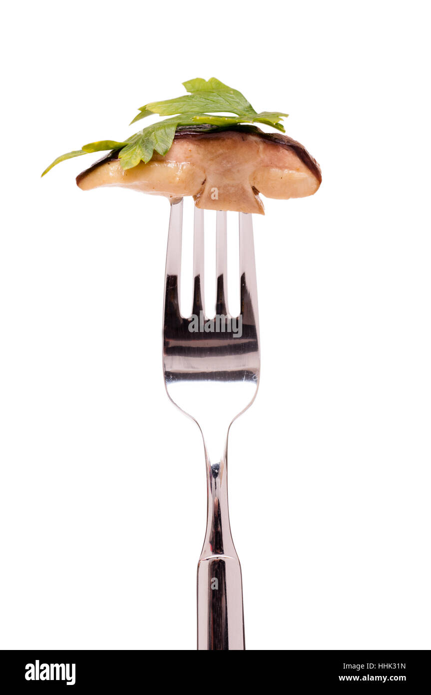 mushrooms, mushroom, fungus, edible, parsley, yellow boletus, yellow boletuses Stock Photo Alamy