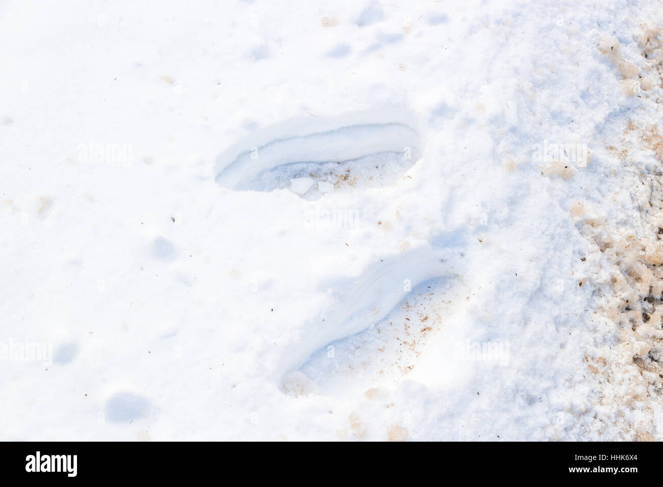 human footprints in the snow Stock Photo - Alamy