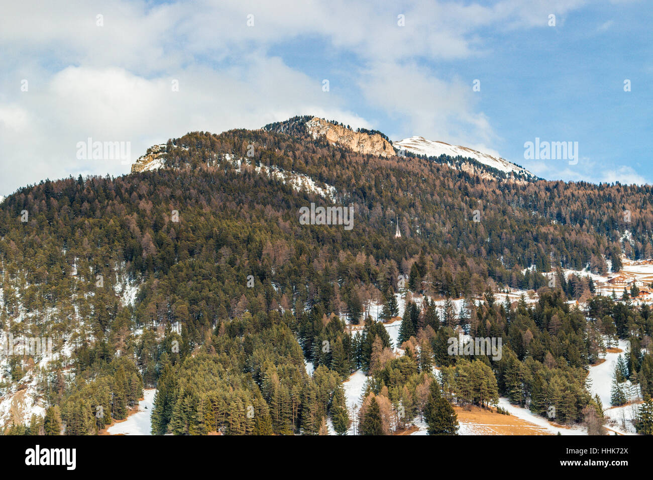 mountain panorama of coniferous forests in the snow Stock Photo - Alamy
