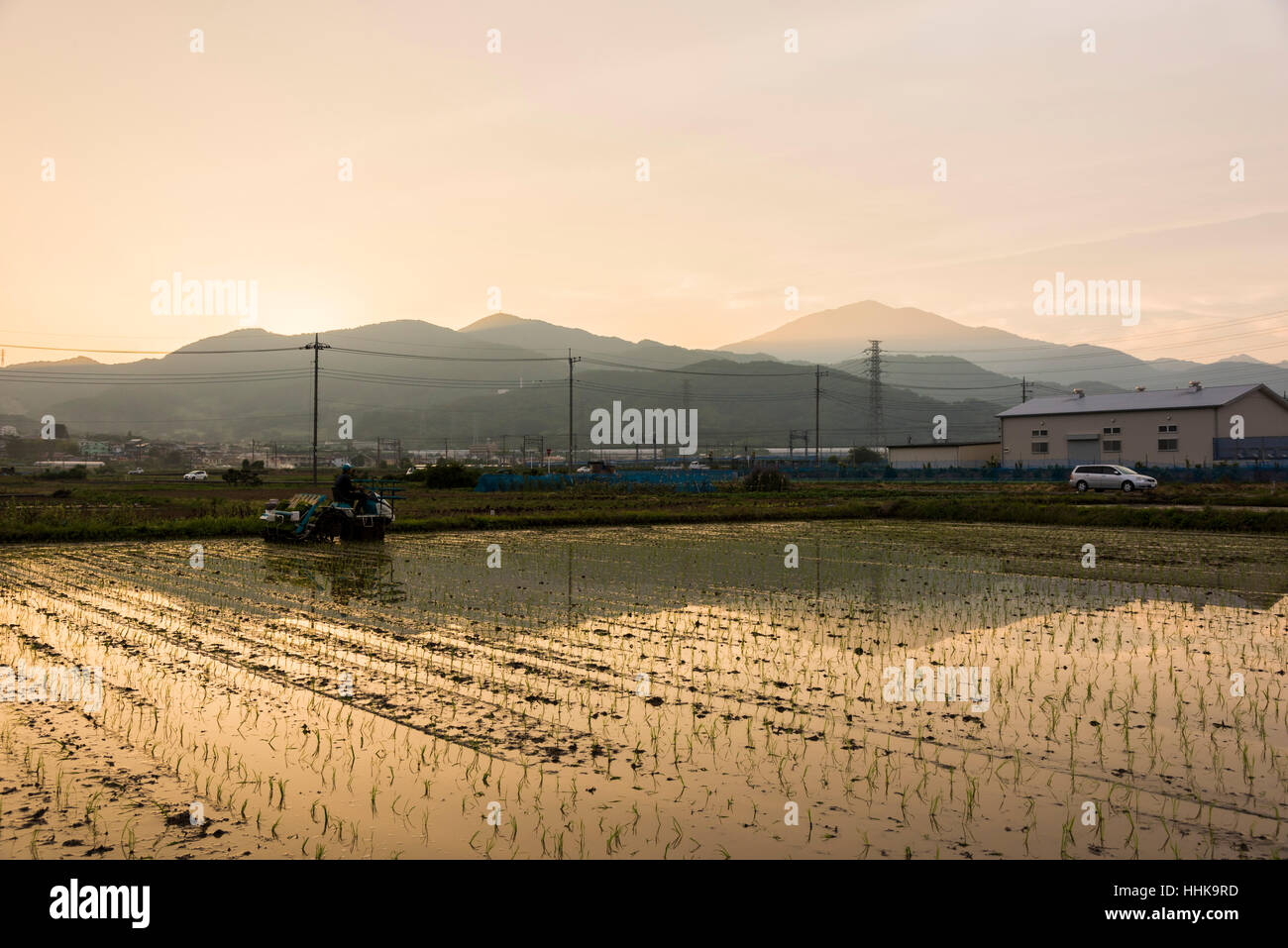 Japan rice planting machine hi-res stock photography and images - Alamy
