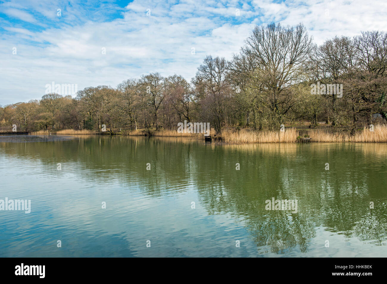 Cannop Ponds Spring High Resolution Stock Photography and Images - Alamy