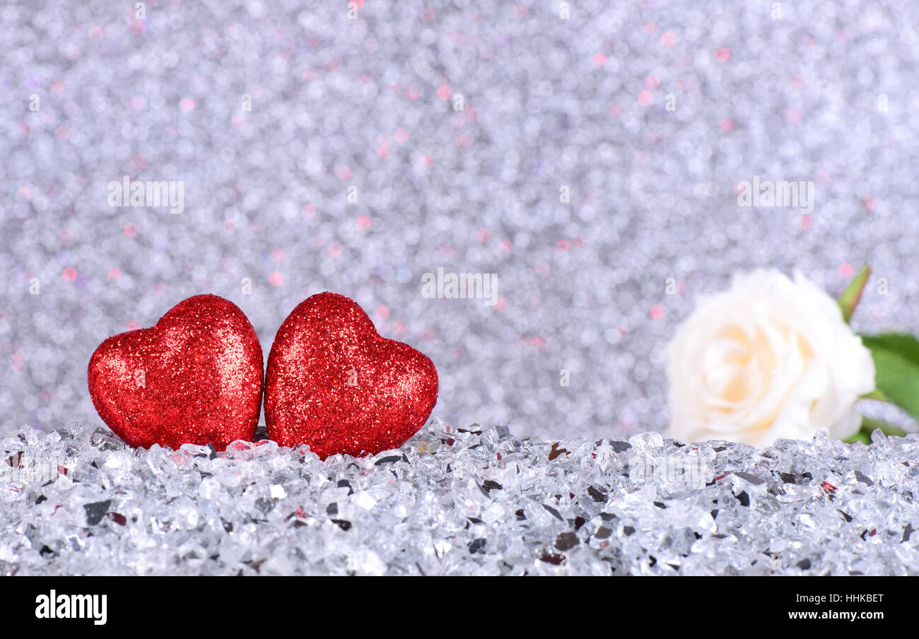 The red heart shapes and white rose flower on abstract light silver ...