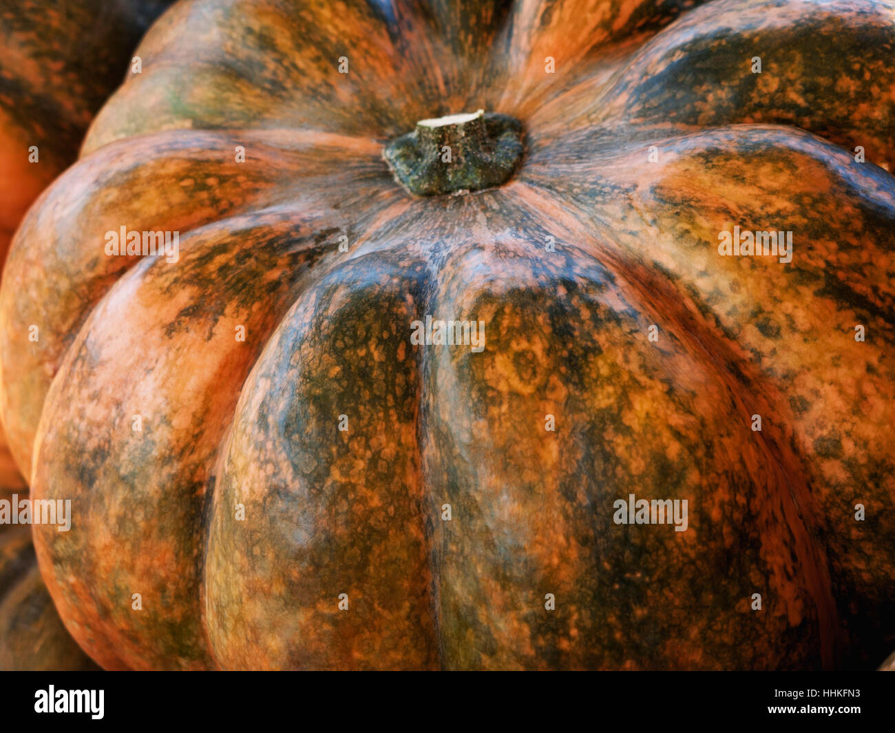 Nutmeg botany hires stock photography and images Alamy