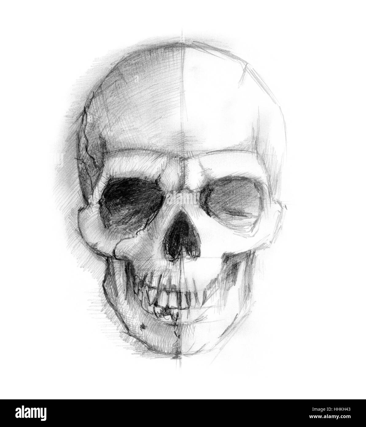 Голова скелета карандашом