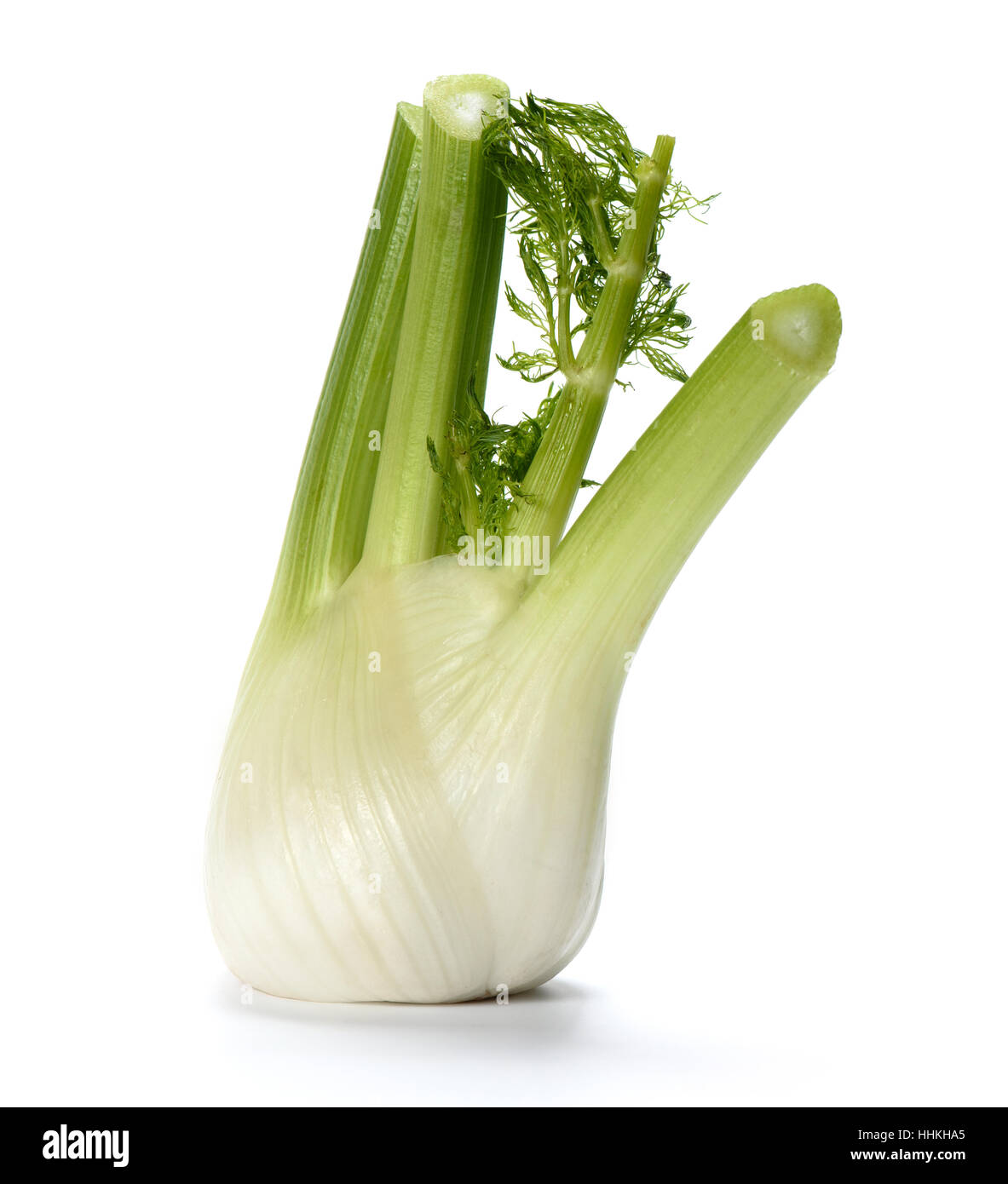 Fresh fennel bulb isolated on white background Stock Photo Alamy