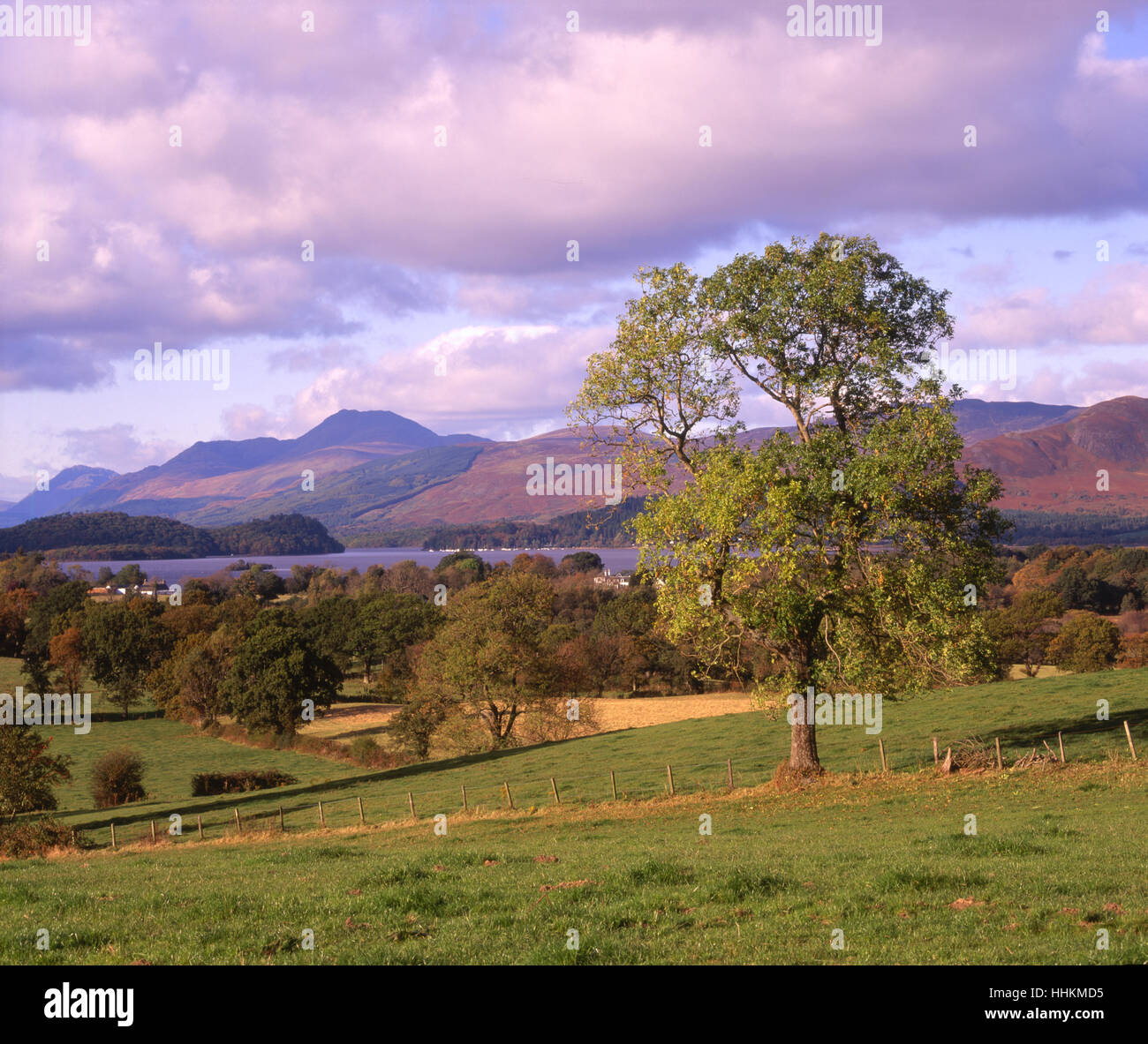 Summer view of Loch Lomond and Ben Lomond, Dumbartonshire,Scotland. Stock Photo