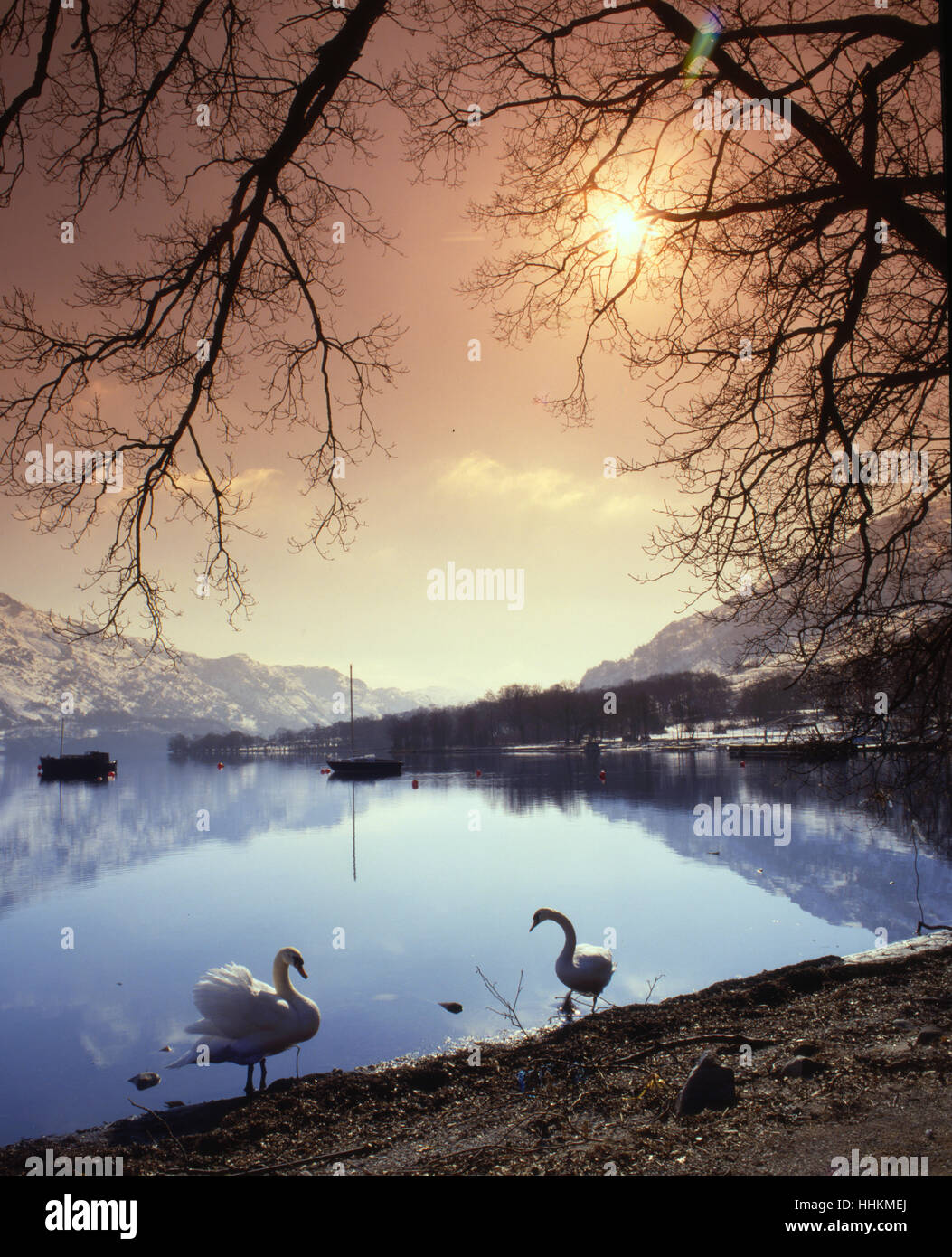 Loch Lomond Starburst, Dumbartonshire Stock Photo