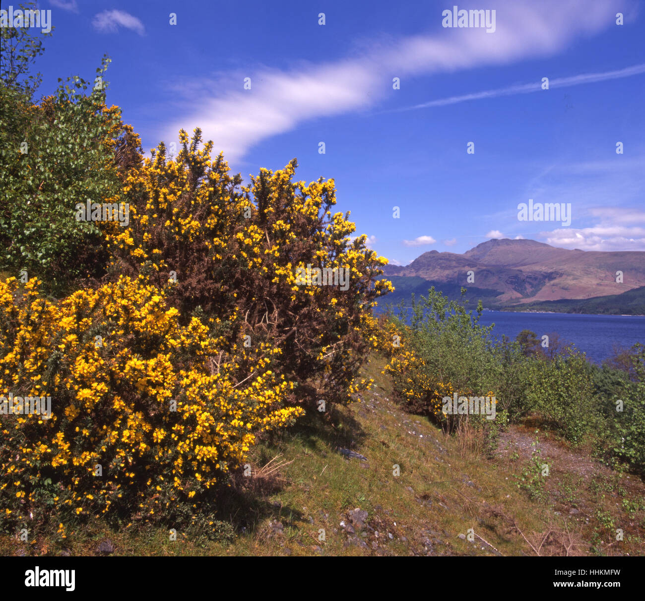Spring view towards Loch Lomond and Ben Lomond, Dumbartonshire. Stock Photo