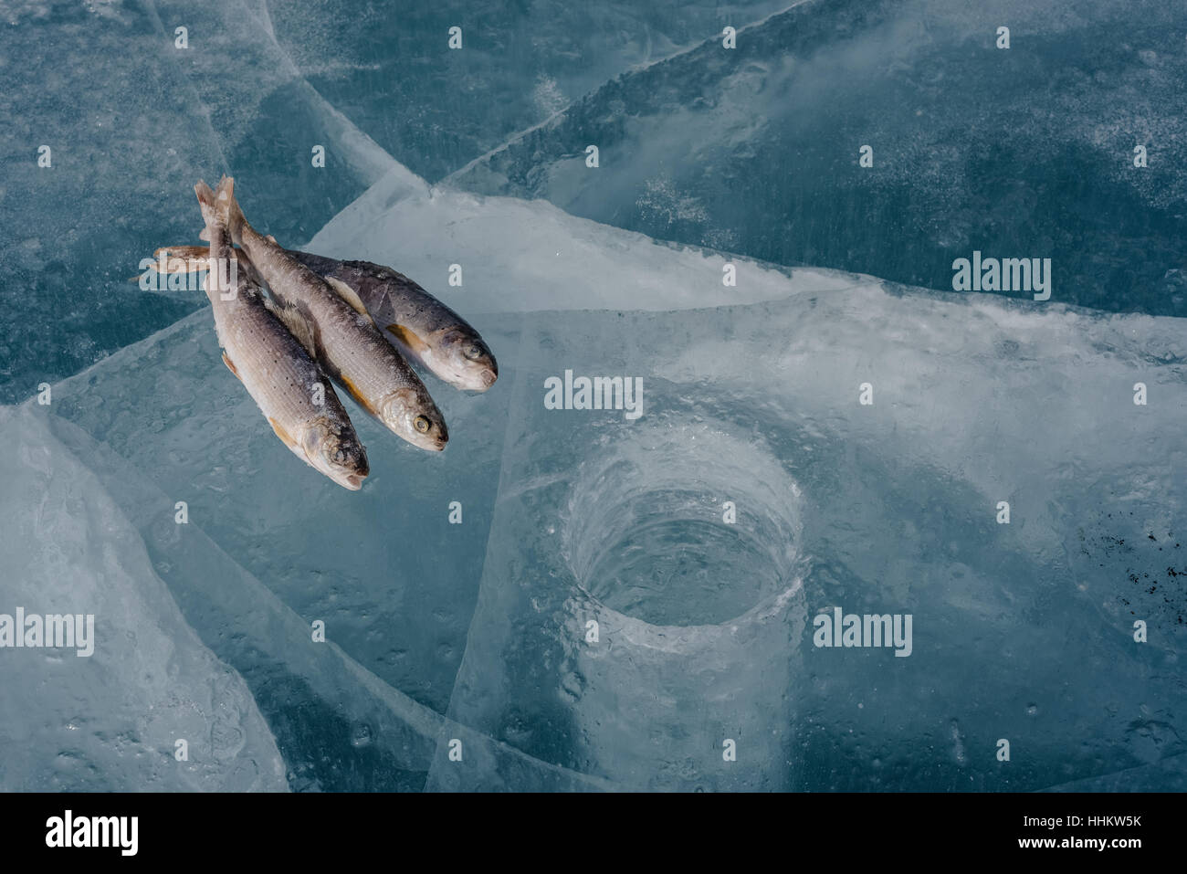 Winter fishing on Lake Baikal. Catching perch and grayling in the clean and beautiful place! The