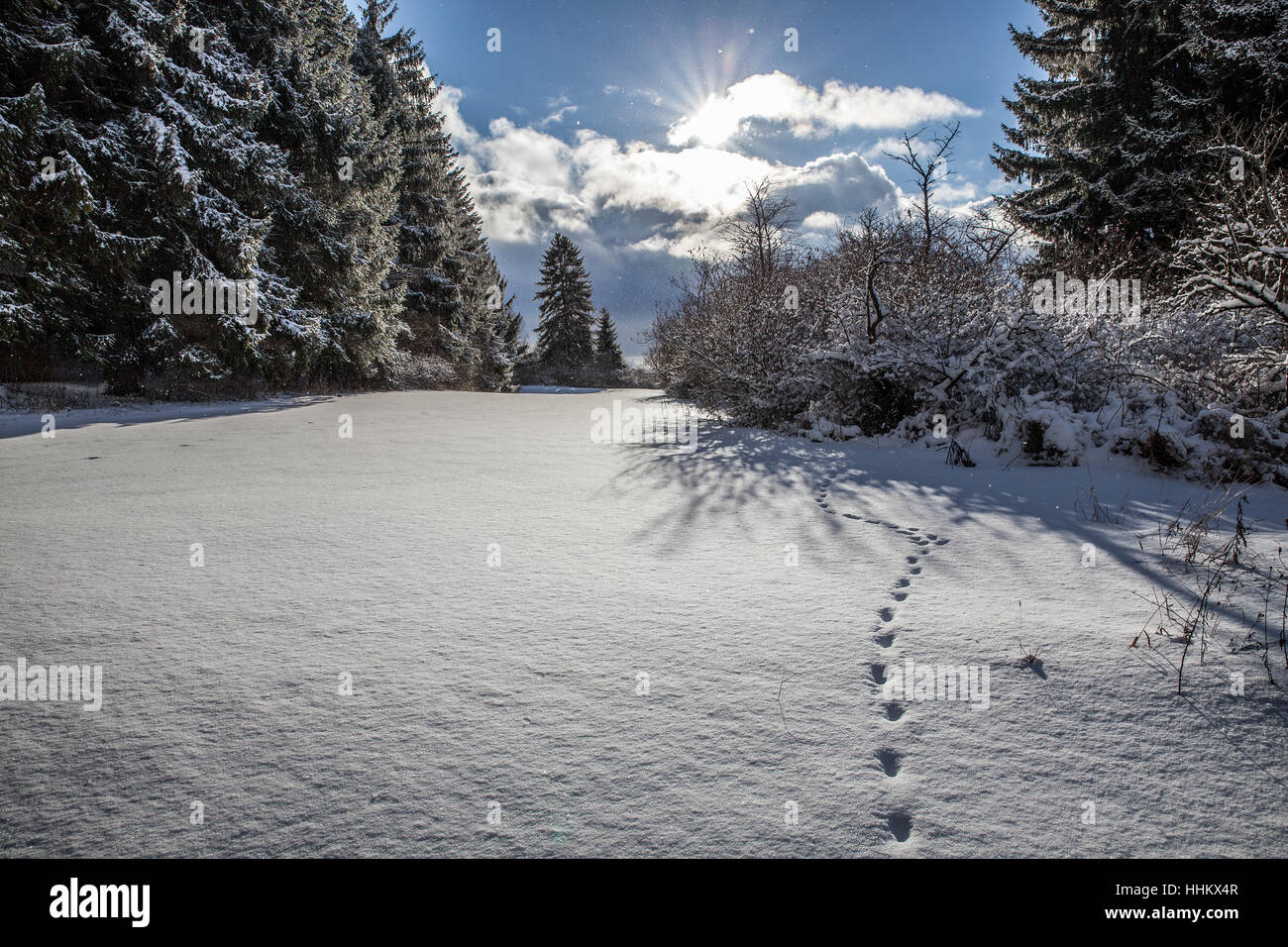 winter near the Lupfen Germany Stock Photo - Alamy