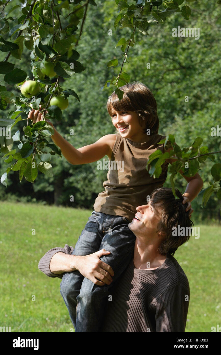 Father son apple tree hi-res stock photography and images - Alamy