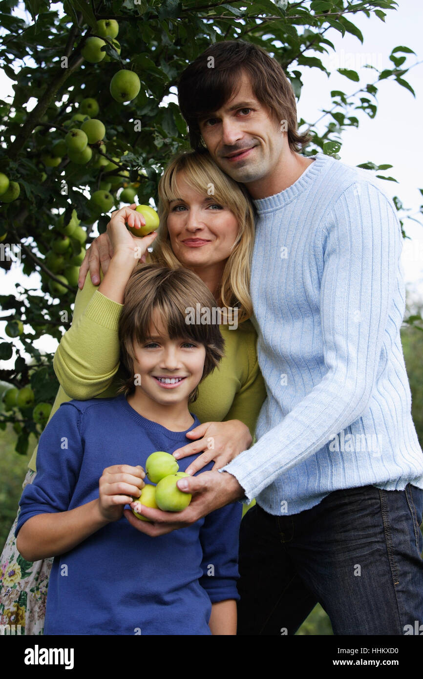 Family apple tree hi-res stock photography and images - Alamy