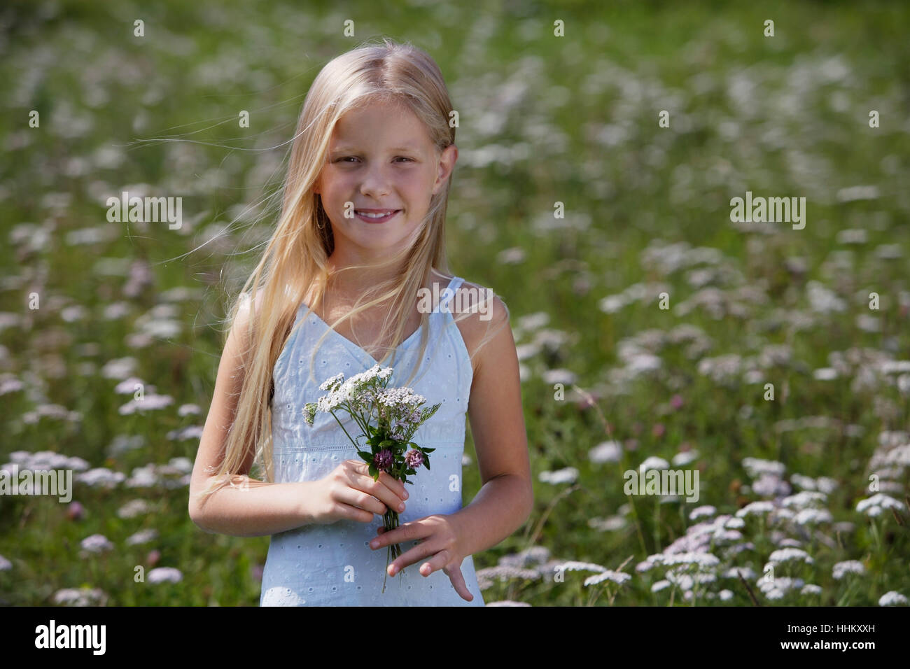 little girl with bouquet in meadow of flowers Stock Photo - Alamy
