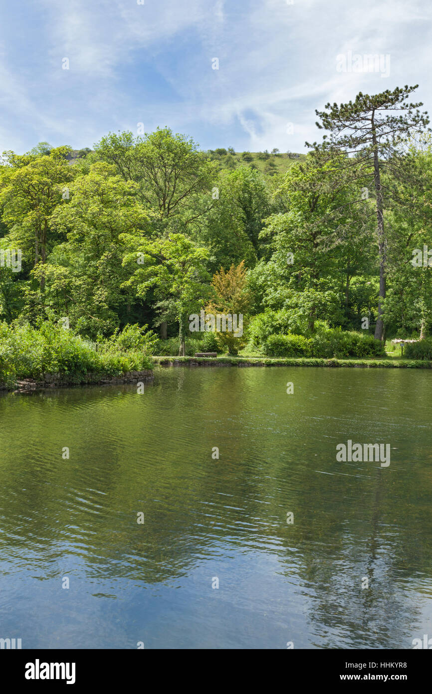The Fishpond, CraigyNos Country Park, Penycae, Brecon Beacons