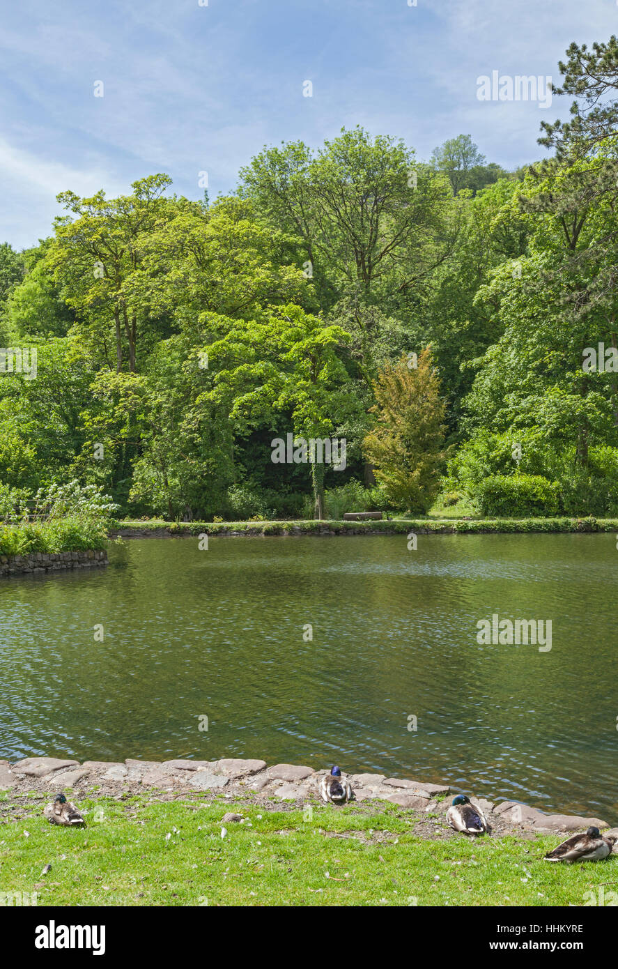 The Fishpond, CraigyNos Country Park, Penycae, Brecon Beacons