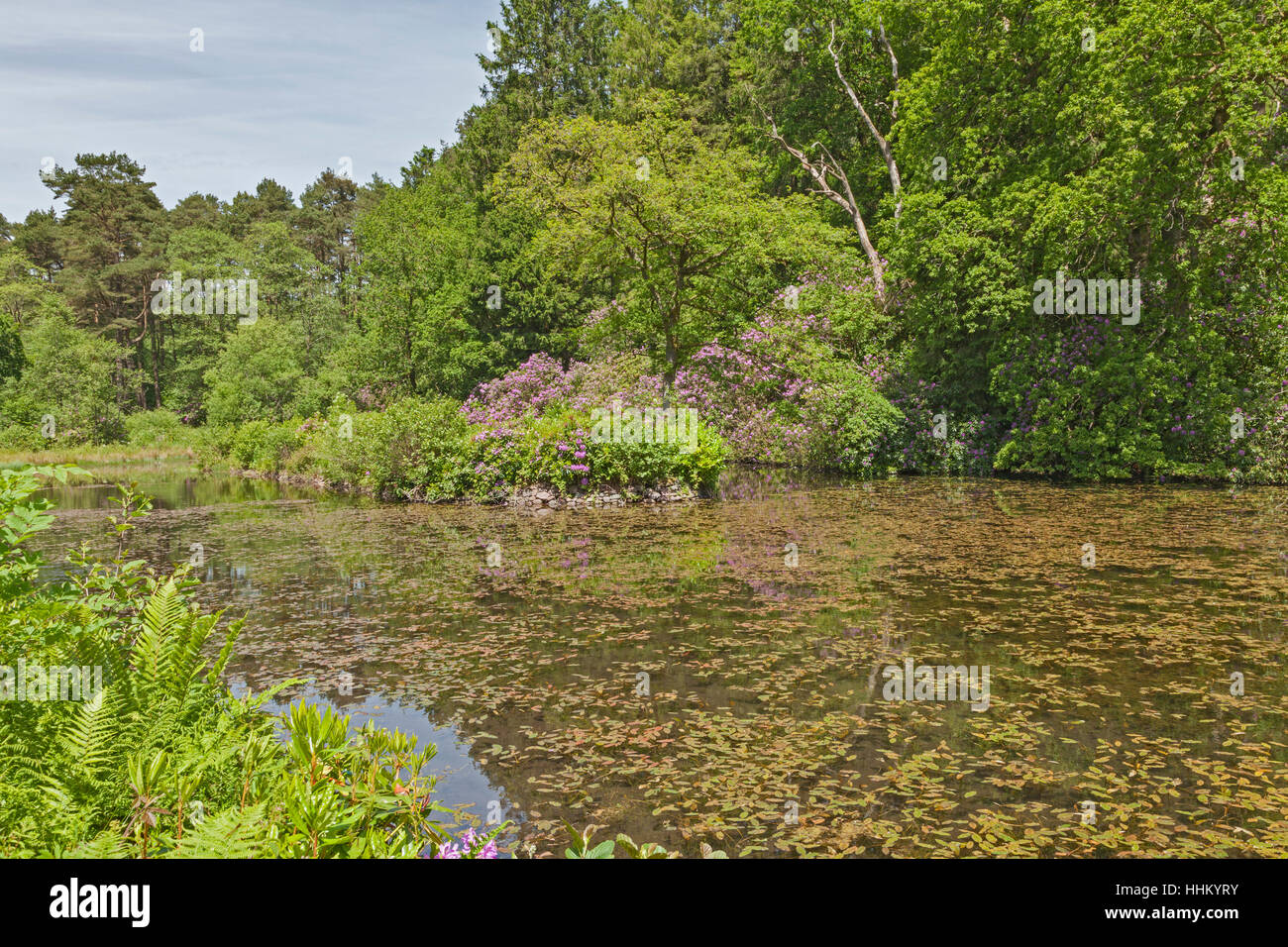 Far Lake, CraigyNos Country Park, Penycae, Brecon Beacons National