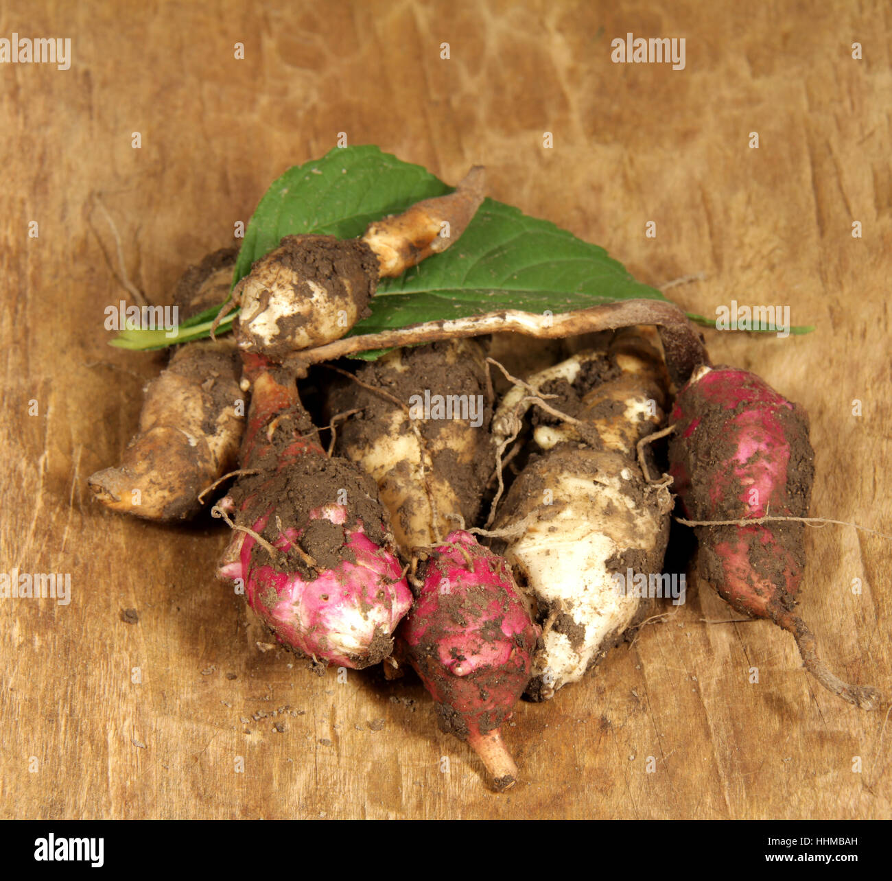 potatoes, potato, flower, sunflower, plant, root, potatoes, potato