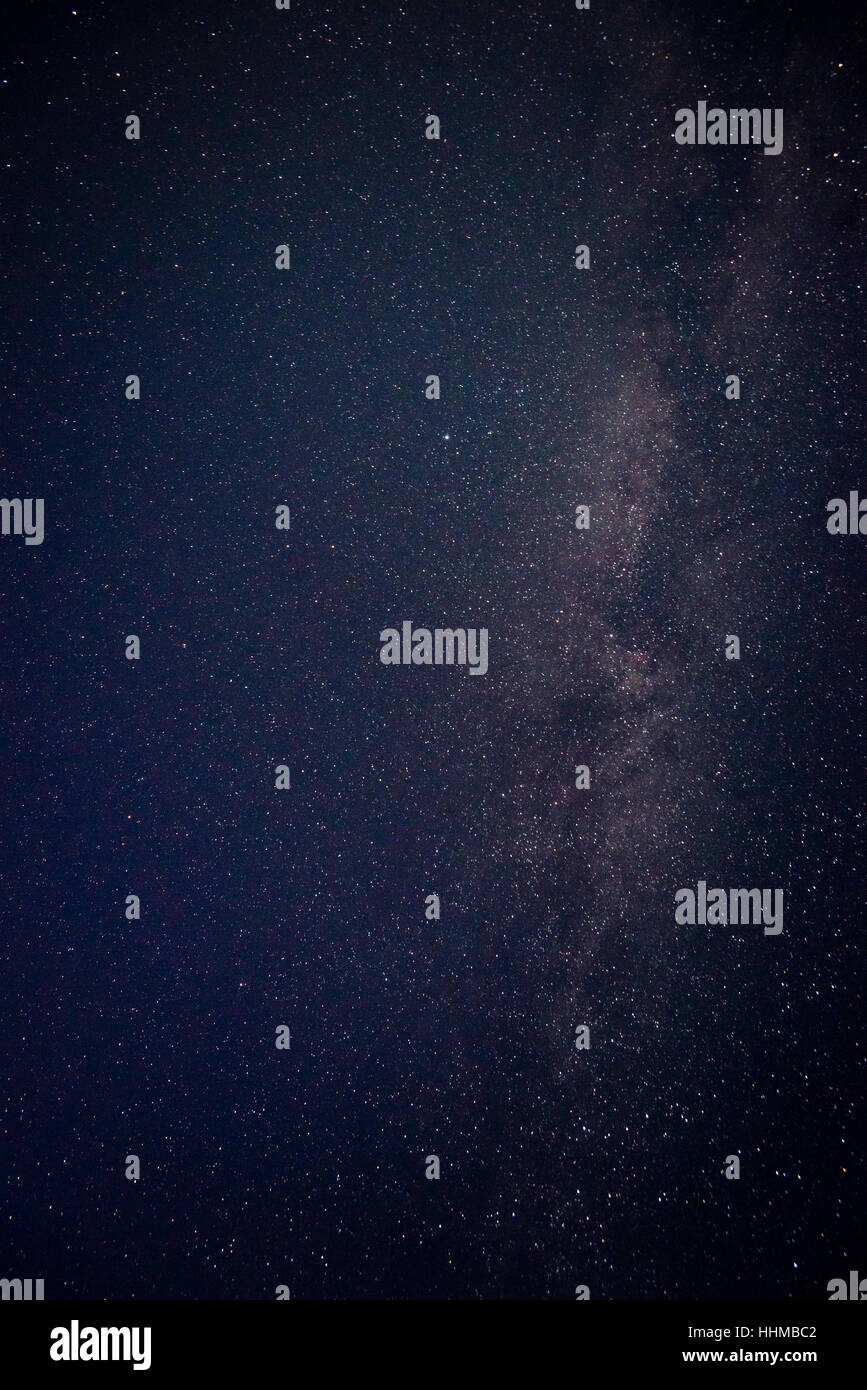Beautiful milky way galaxy on a night sky and silhouette of tree with ...