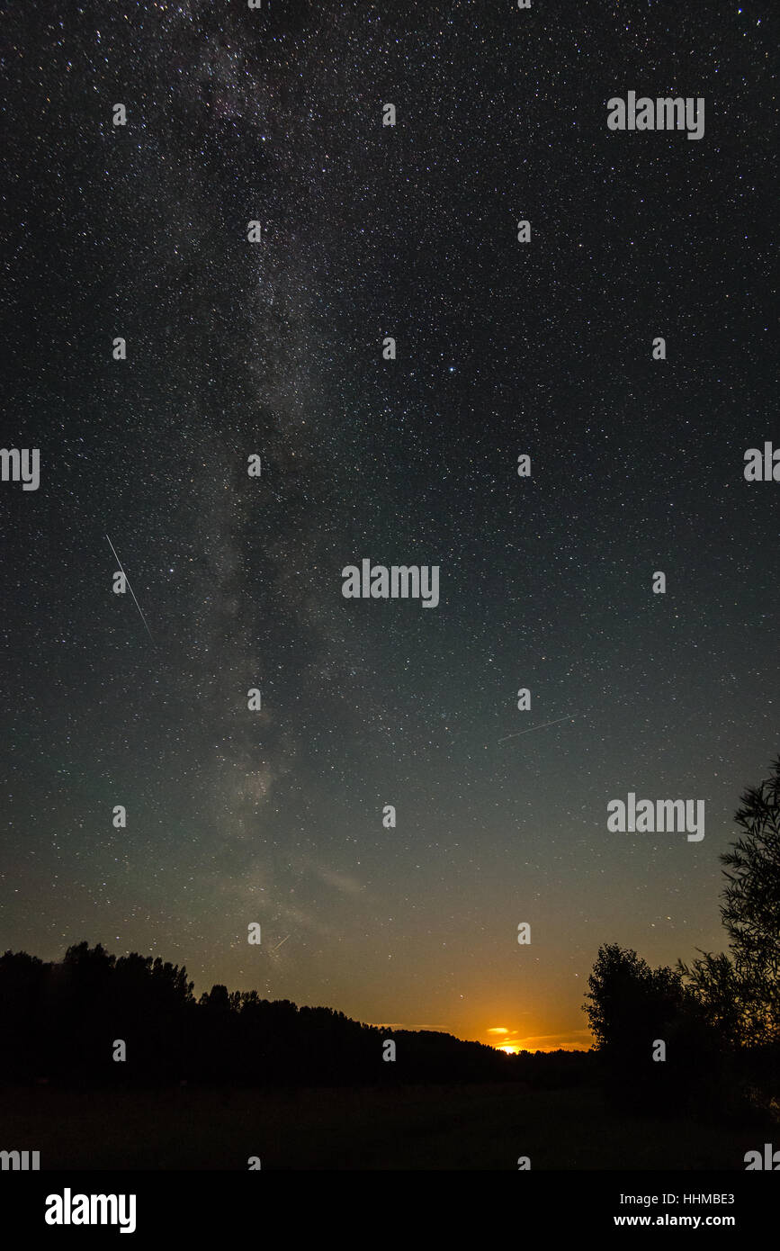 Beautiful milky way galaxy on a night sky and silhouette of tree with ...
