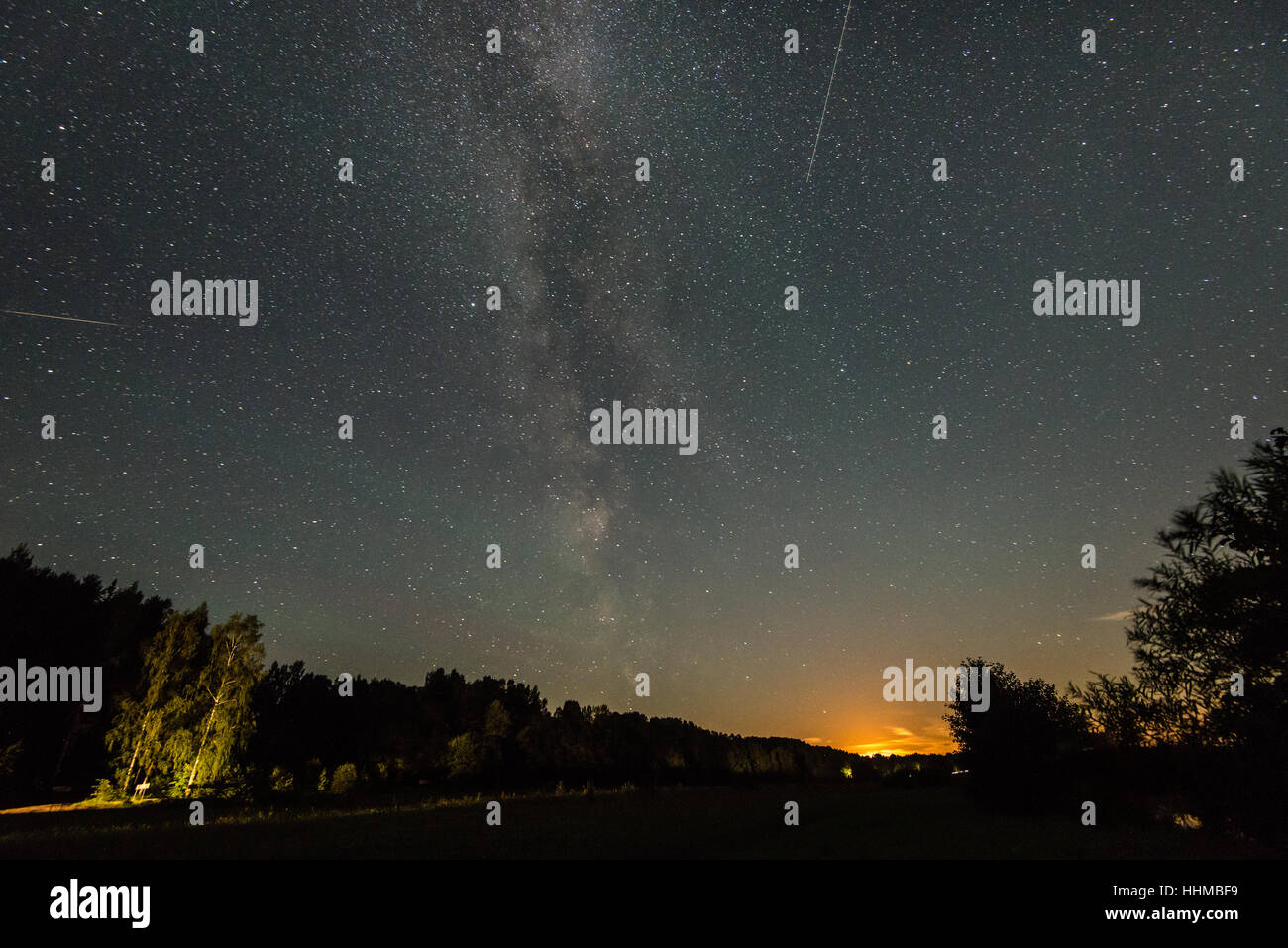 Beautiful milky way galaxy on a night sky and silhouette of tree with ...