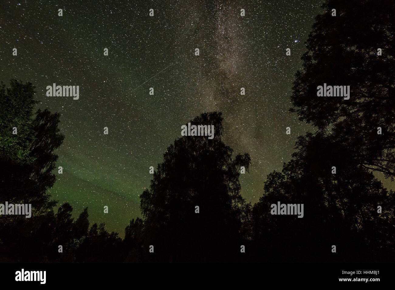 Beautiful milky way galaxy on a night sky and silhouette of tree with ...