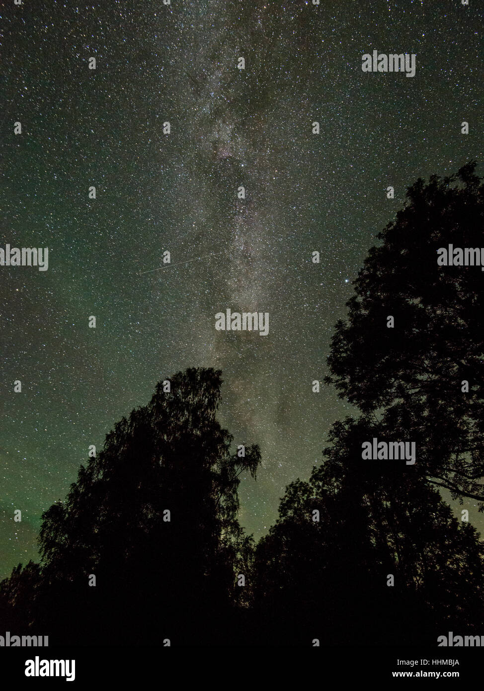 Beautiful milky way galaxy on a night sky and silhouette of tree with ...