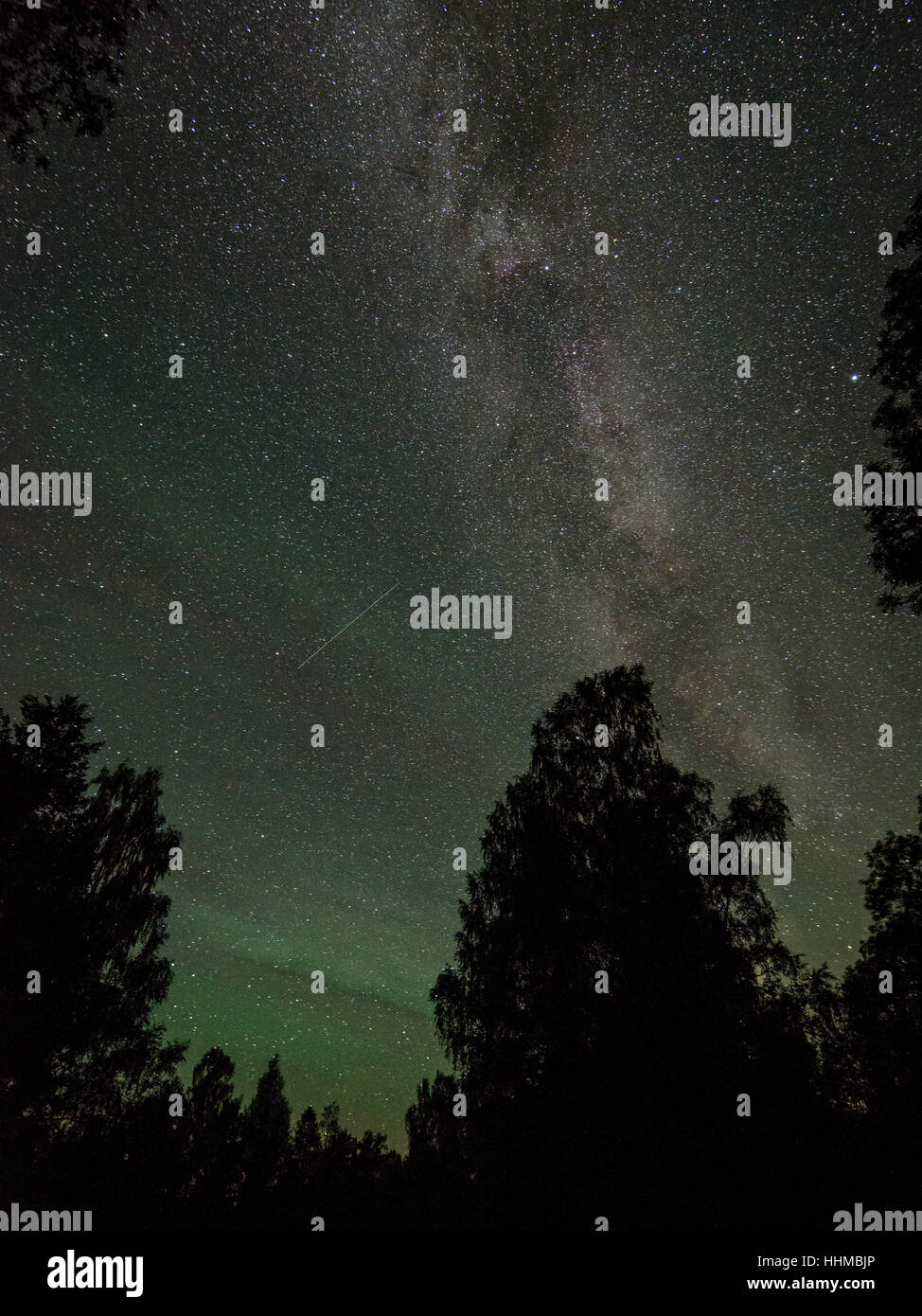 Beautiful milky way galaxy on a night sky and silhouette of tree with ...