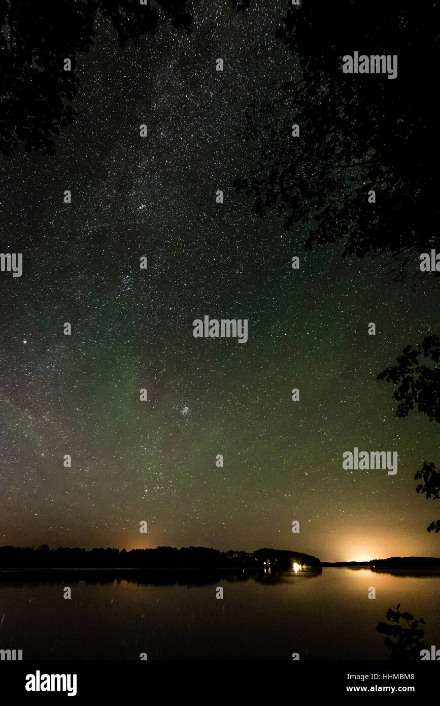 Beautiful milky way galaxy on a night sky and silhouette of tree with ...