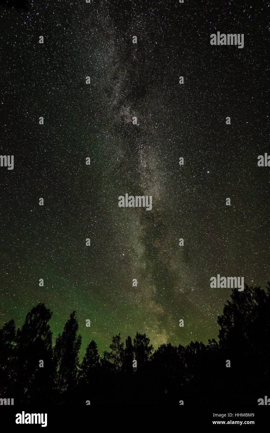 Beautiful milky way galaxy on a night sky and silhouette of tree with ...