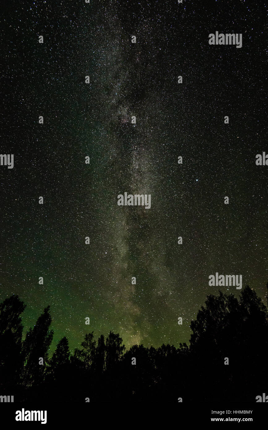 Beautiful milky way galaxy on a night sky and silhouette of tree with ...