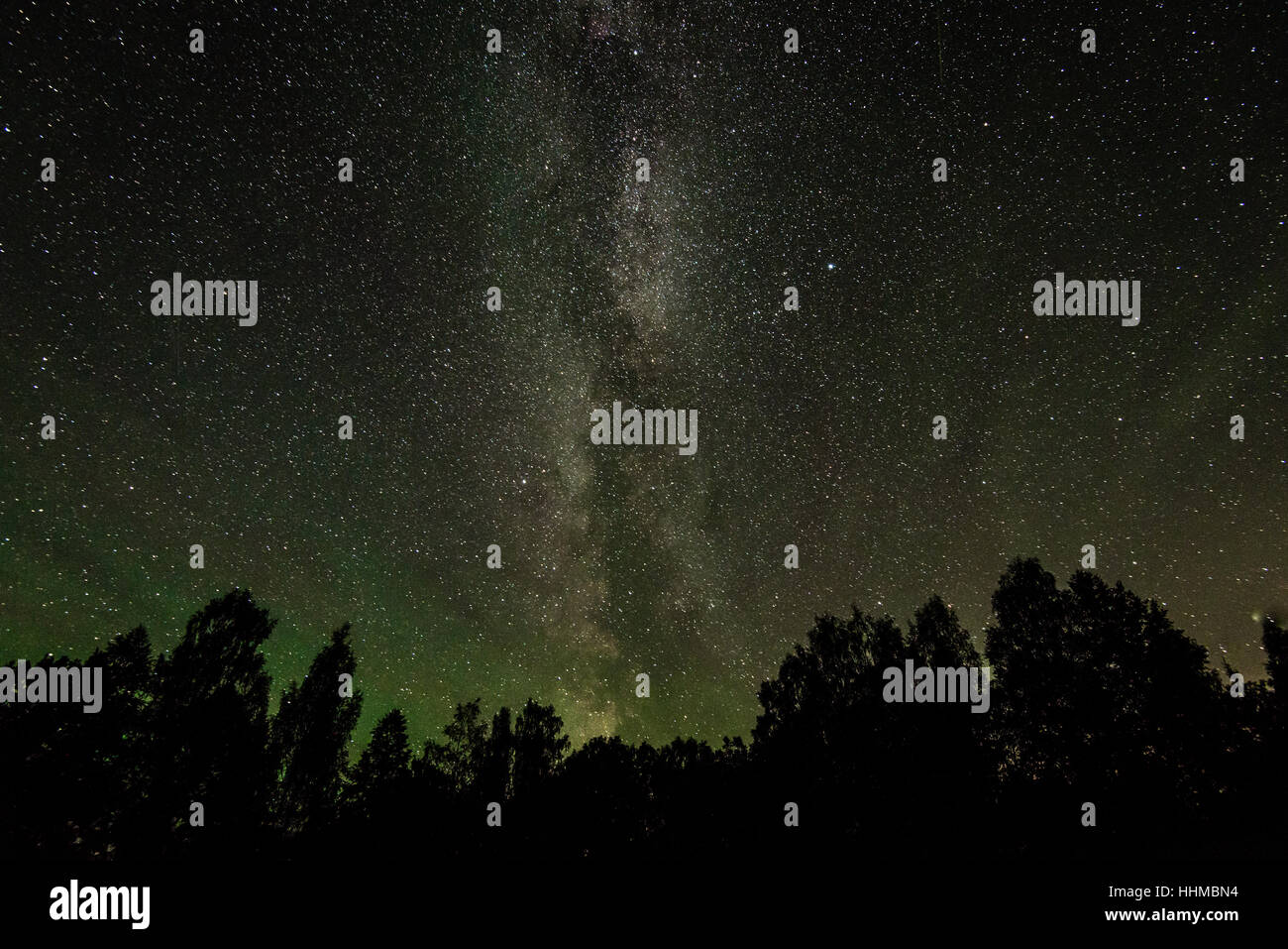 Beautiful milky way galaxy on a night sky and silhouette of tree with ...