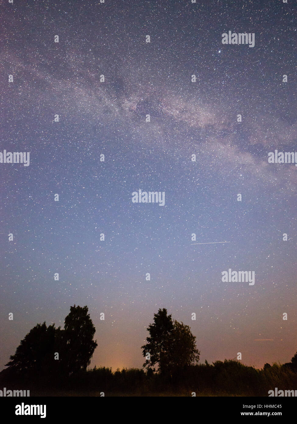 Beautiful milky way galaxy on a night sky and silhouette of tree with ...