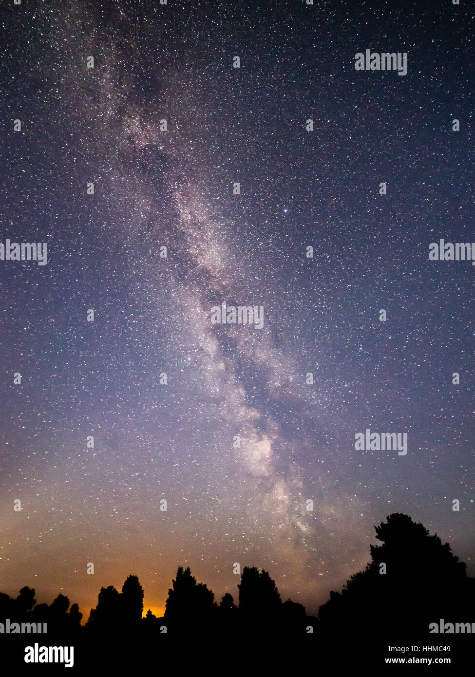 Beautiful milky way galaxy on a night sky and silhouette of tree with ...