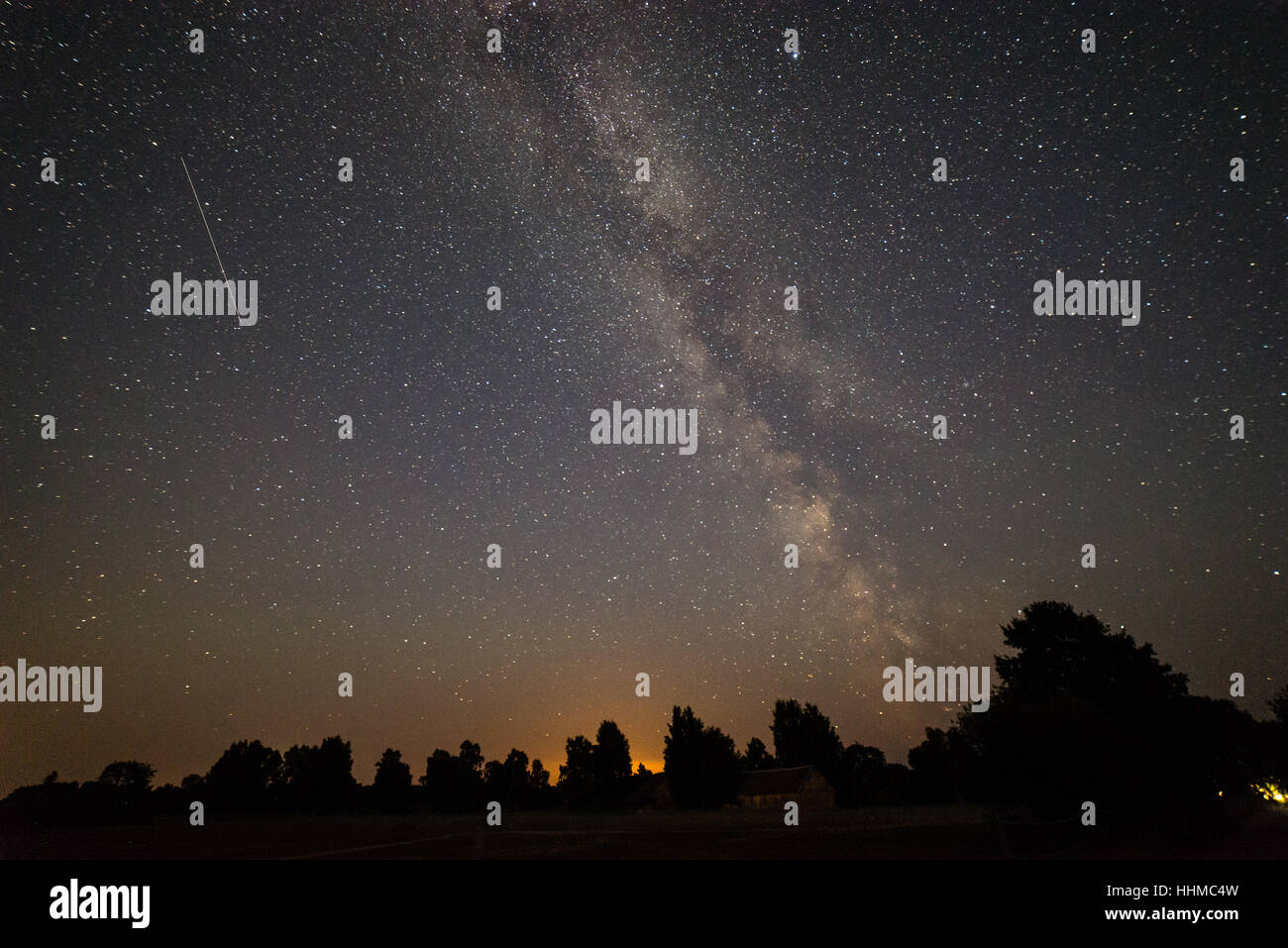 Beautiful milky way galaxy on a night sky and silhouette of tree with ...