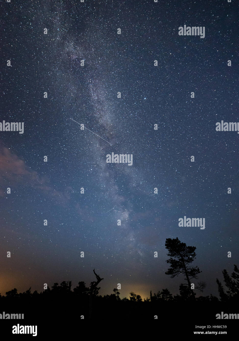 Beautiful milky way galaxy on a night sky and silhouette of tree with ...