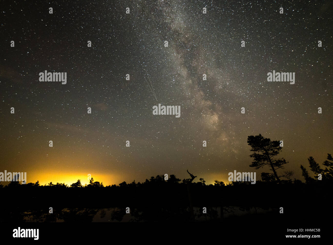 Beautiful milky way galaxy on a night sky and silhouette of tree with ...