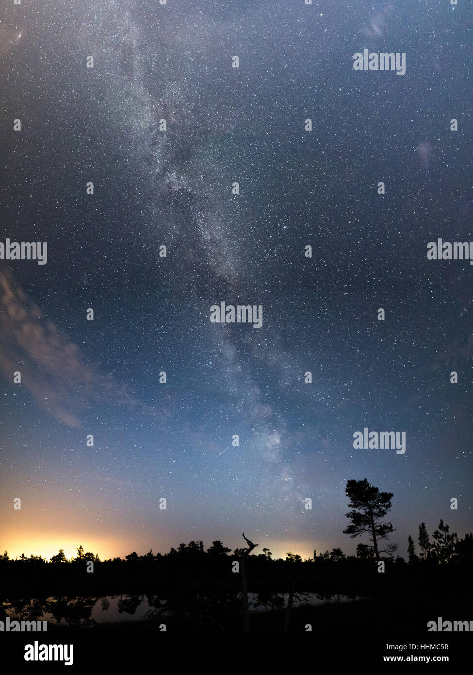 Beautiful milky way galaxy on a night sky and silhouette of tree with ...