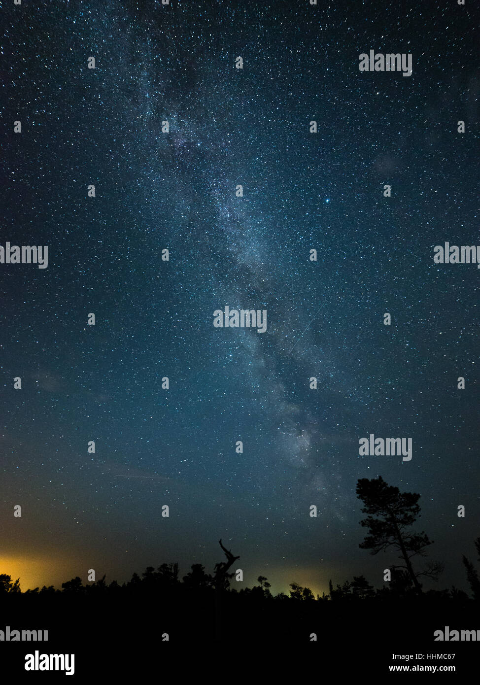 Beautiful milky way galaxy on a night sky and silhouette of tree with ...