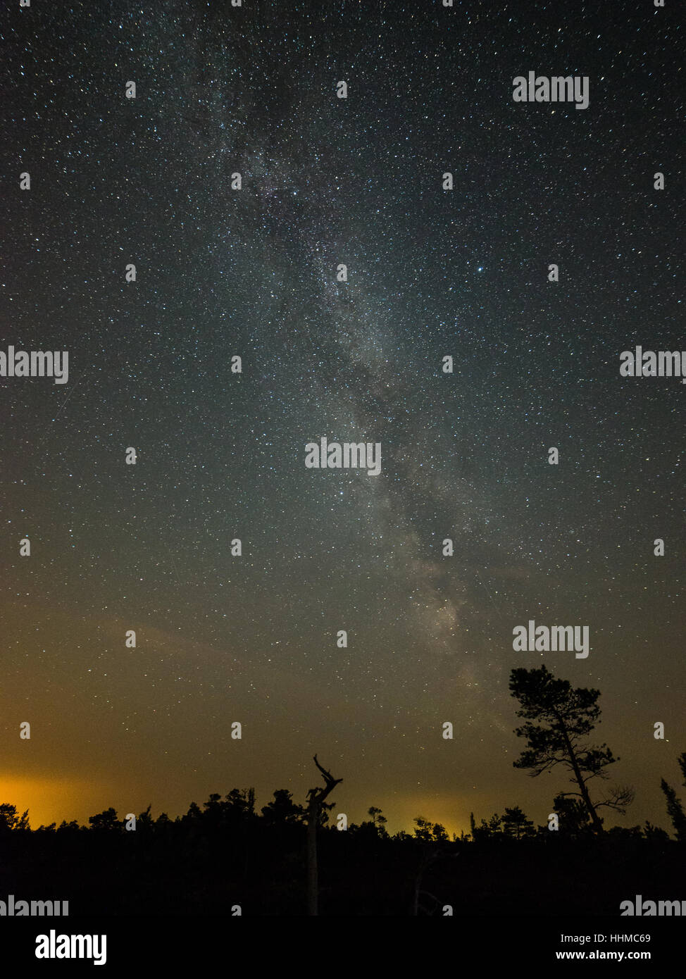 Beautiful milky way galaxy on a night sky and silhouette of tree with ...