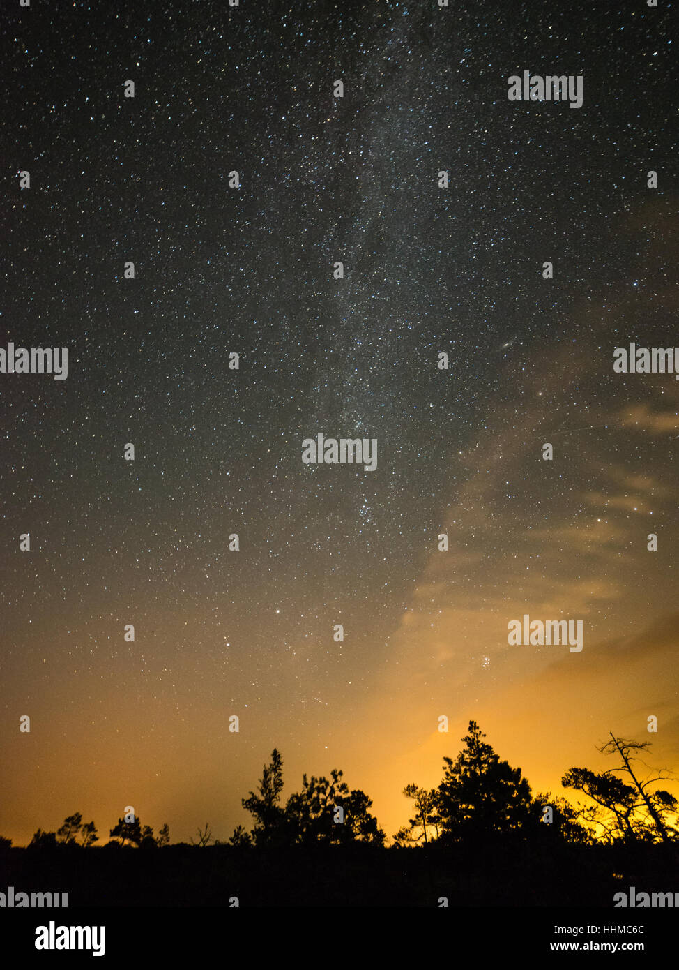 Beautiful milky way galaxy on a night sky and silhouette of tree with ...