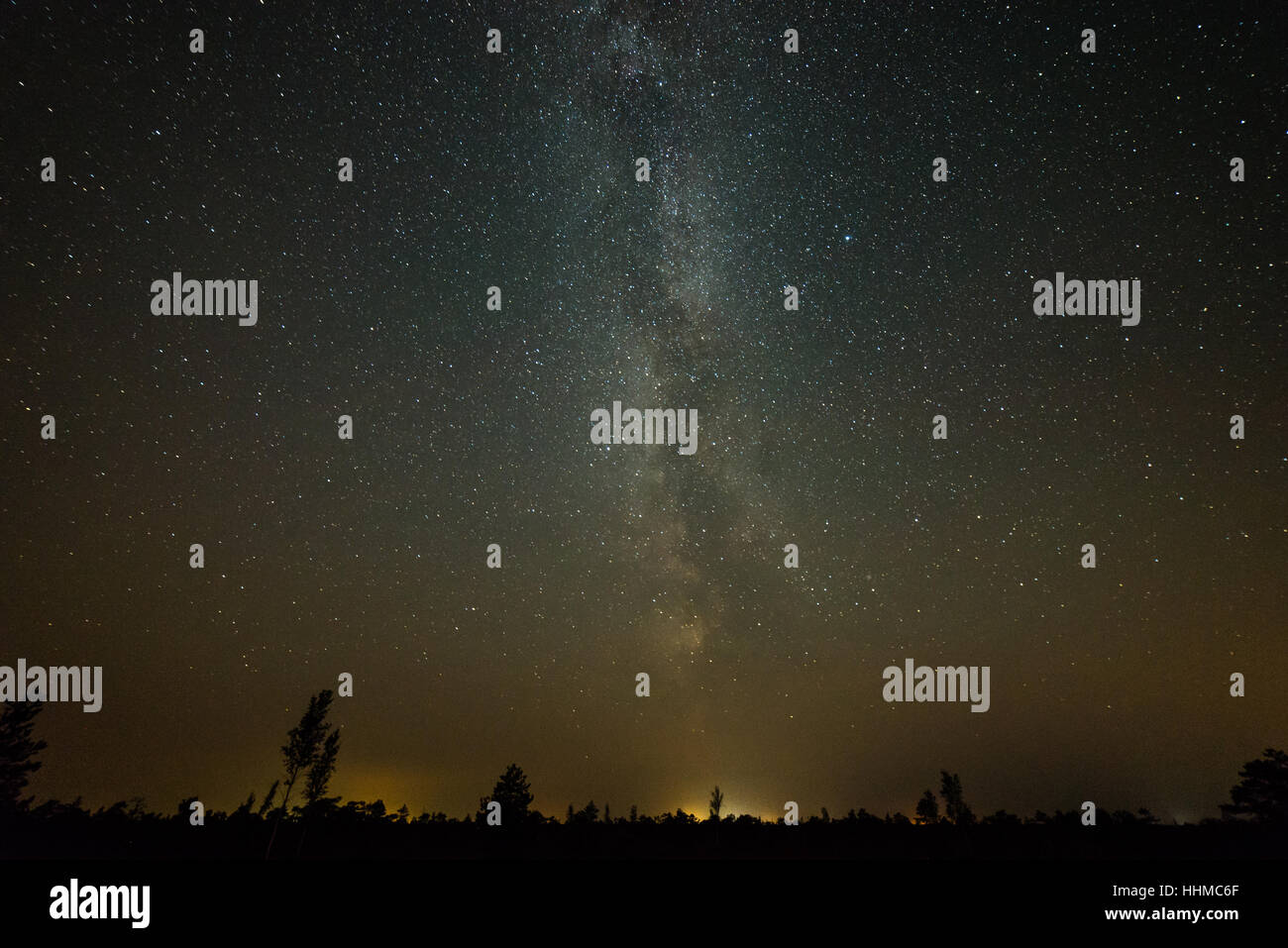 Beautiful milky way galaxy on a night sky and silhouette of tree with ...