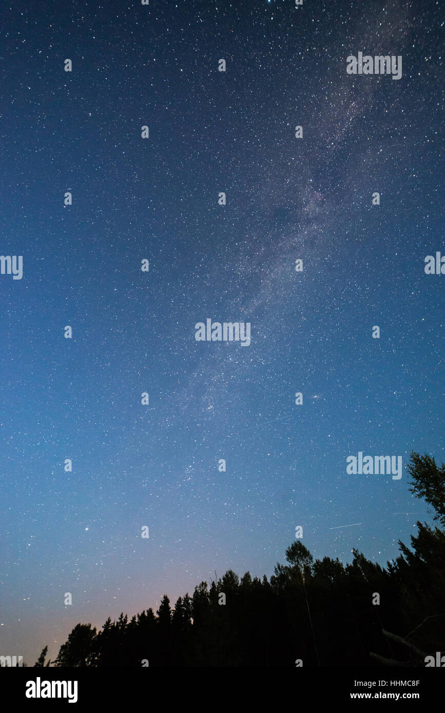 Beautiful milky way galaxy on a night sky and silhouette of tree with ...