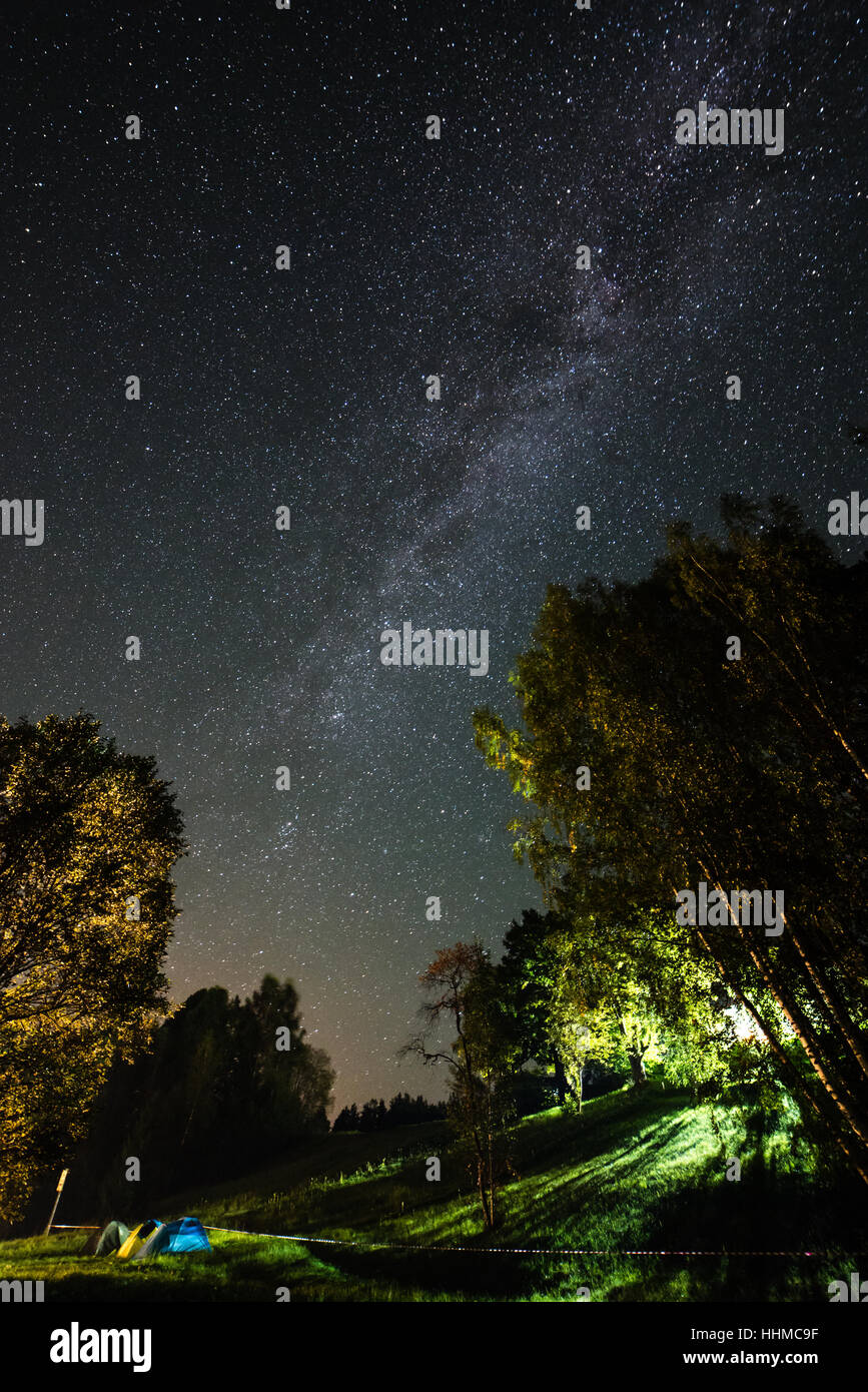 Beautiful milky way galaxy on a night sky and silhouette of tree with ...