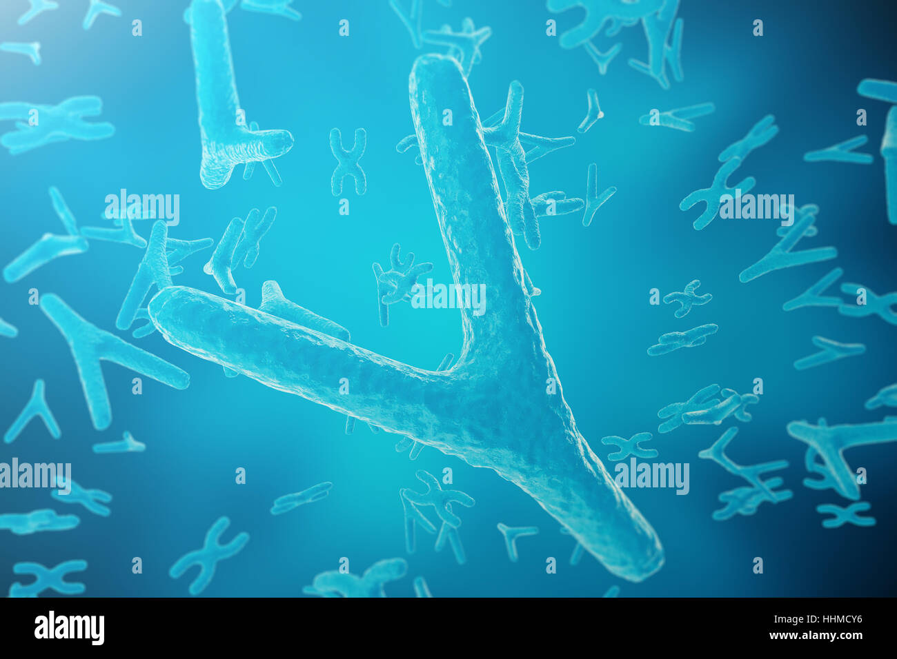 Human karyotype with x y chromosomes hi-res stock photography and images -  Alamy, image size:1300x956