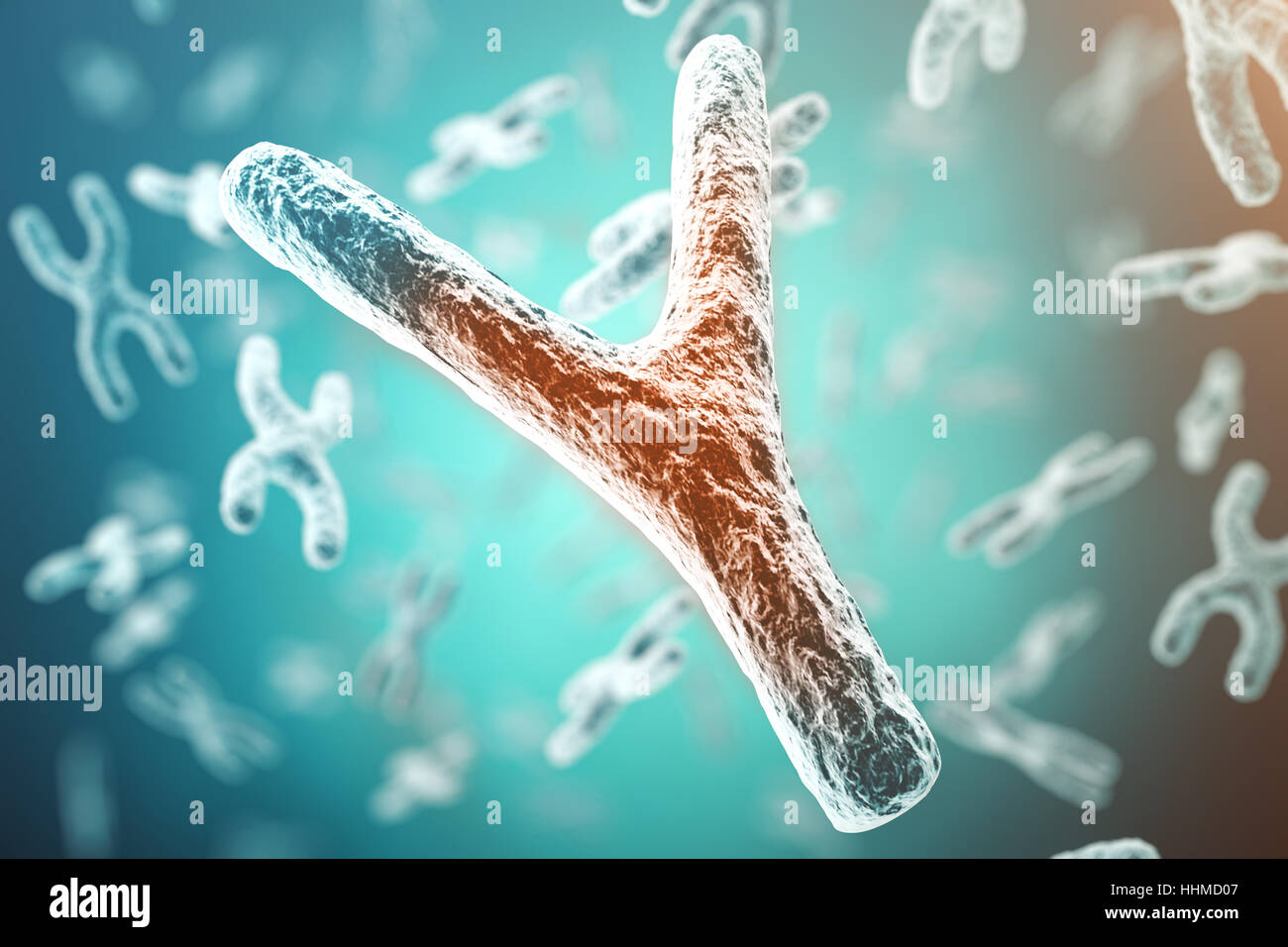 XY-chromosome, red in the center, concept of infection, mutation, disease, with focus effect. 3d rendering Stock Photo