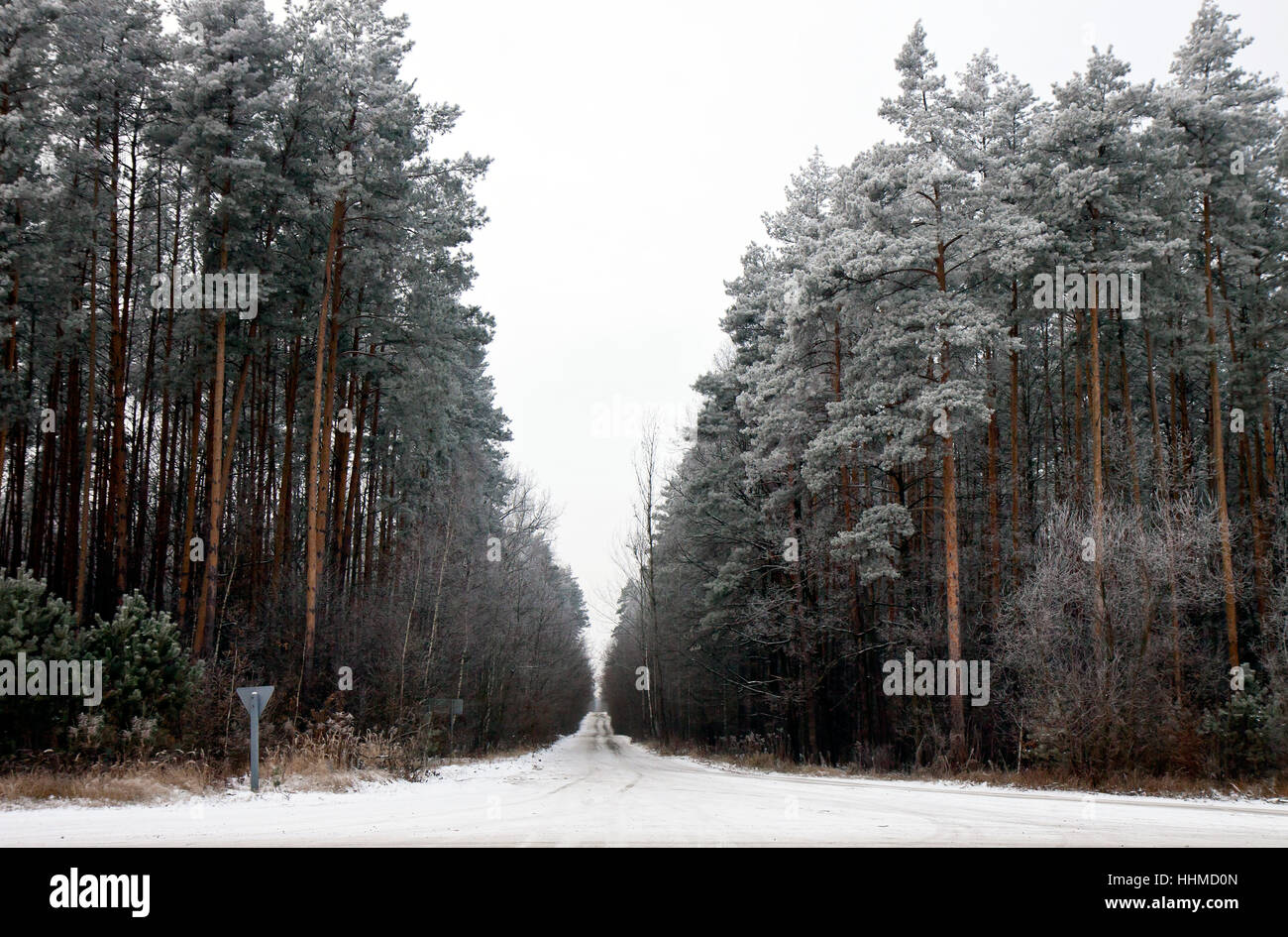 winter landscape with the asphalt road Stock Photo - Alamy