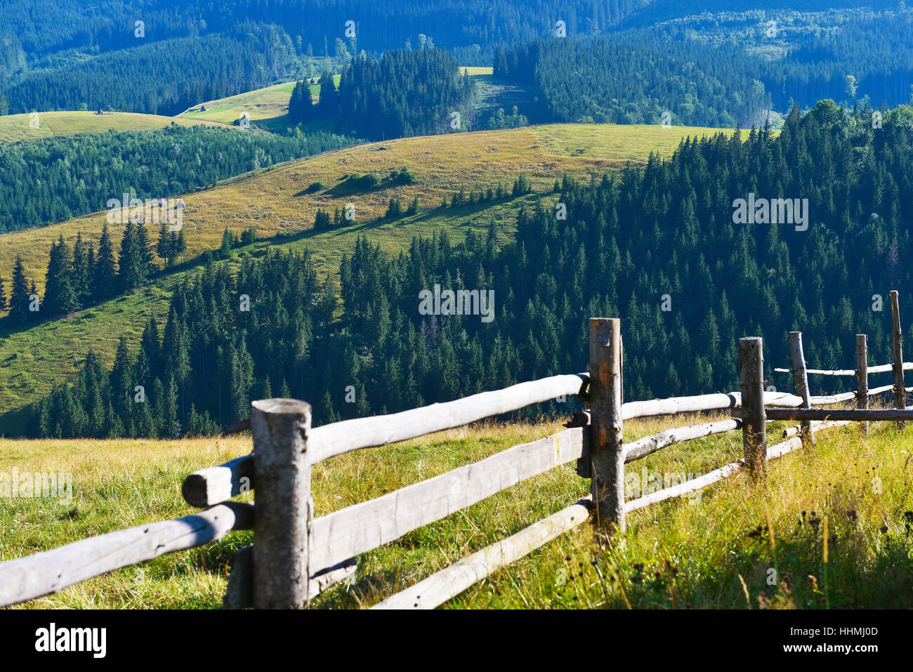 Pastures and meadows in summer mountains. Stock Photo